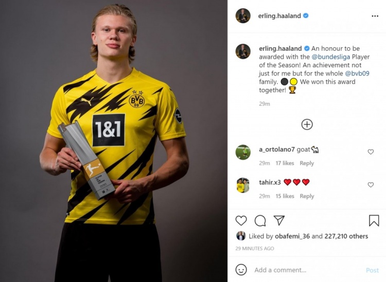 北欧式健走 北欧式健走